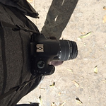 Profile Picture of William Rodriguez (@wr.rodriguez) on Flickr