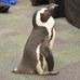 Profile Picture of Paula Bird (@paula.bird.7161) on Facebook