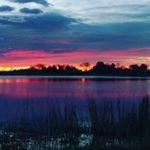 Profile Picture of Tyler Pieper (@e_carrthoav_nthi) on Instagram