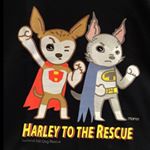 Profile Picture of Anne Cogley (@yorkie_mum) on Instagram