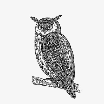 Profile Picture of Stephen Riles (@StephenRiles) on Twitter