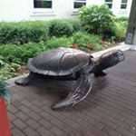 Profile Picture of Rosio salazar (@rosio_the_queen) on Instagram