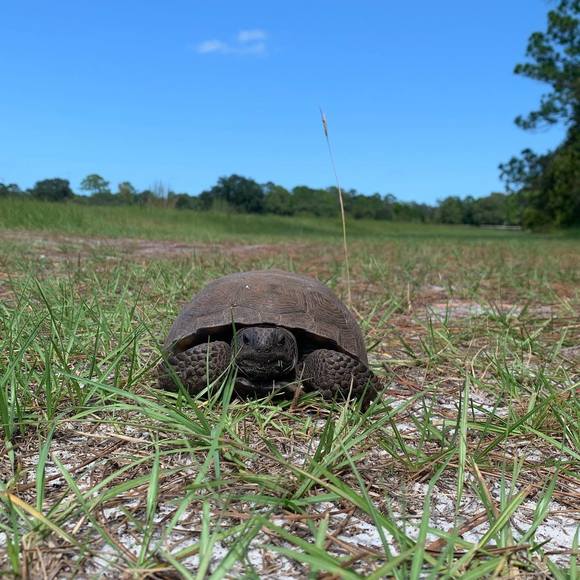 Profile Picture of Sarah Breuilly (@unibean) on Poshmark