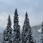 Profile Picture of Justin (@hoppertin) on Instagram