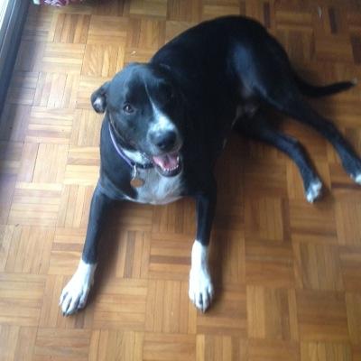 Profile Picture of James Barter (@Jb4460Barter) on Twitter