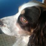 Profile Picture of Jackie Murray (@jackie.murray18) on Instagram