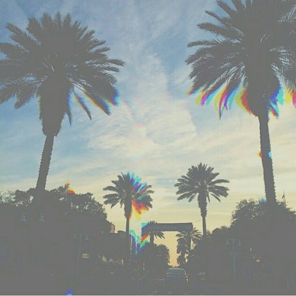 Profile Picture of Rocio Cejas (@rowseeoh__) on Poshmark