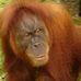 Profile Picture of Brian Hazell (@brian.hazell.73) on Facebook