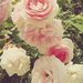Profile Picture of Hyeon jeong Choe (@dew7941) on Pinterest