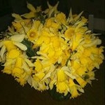 Profile Picture of Laurent Fournier (@fournier_laurent2) on Instagram