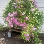 Profile Picture of Lisa Hoyt (@lisa.hoyt.106) on Facebook