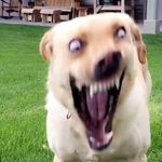 Profile Picture of amanda limonesa (@amandalimones) on Instagram