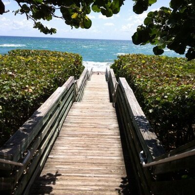 Lisa Childress Petersen - Twitter Profile Picture of Lisa Childress Petersen (@lisacpetersen) on Twitter