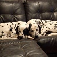 Profile Picture of Patrick Hong (@patrick-hong-21) on Quora