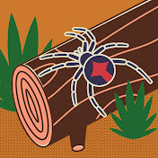 Profile Picture of Chase Woods (@ChaseWoods-u9q) on Youtube