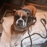 Profile Picture of Frederick Alden Schmidt (@frederickaldenschmidt) on Instagram