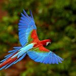 Profile Picture of NunoBarradas (@alexandrebarradas) on Instagram