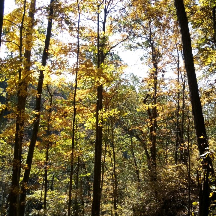 Matthew - Tiktok Profile Picture of Matthew (@matthew_lasher1) on Tiktok