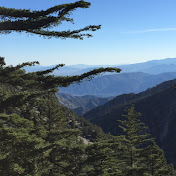 Profile Picture of Victor Gamboa (@victorgamboa8763) on Youtube