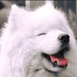 Profile Picture of Janet Chau (@janetpmchau) on Instagram