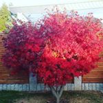 Profile Picture of Kevin Lormes (@k.lormi) on Instagram