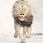 Profile Picture of darryl brinson (@brinsondarryl) on Instagram