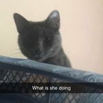 Profile Picture of Thomas McIvor (@thomas.mcivor) on Instagram