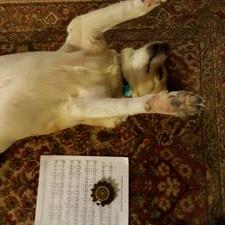 Profile Picture of Joyce Ramsey (@luvhrmny) on Twitter