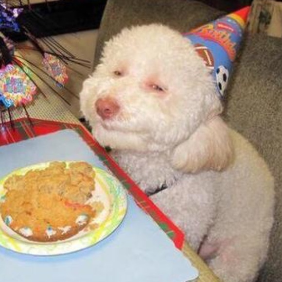 Tyler Beemer - Poshmark Profile Picture of Tyler Beemer (@bemeer24) on Poshmark