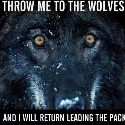 Profile Picture of Robin L Wilder (@robinwilder0) on Twitter