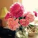 Profile Picture of Laura Rauscher (@windchild1959) on Pinterest