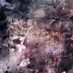 Profile Picture of Emily Fitchett (@emily.fitchett.946) on Facebook