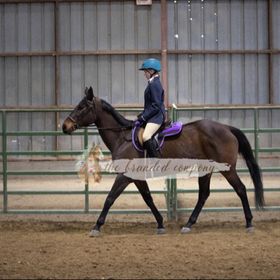 Profile Picture of EquestrianKate<3 (@KatelynPeterson00) on Pinterest