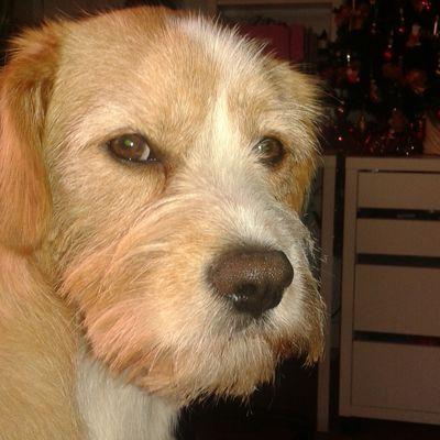 Profile Picture of Horst Kocmich (@samy2506113) on Twitter