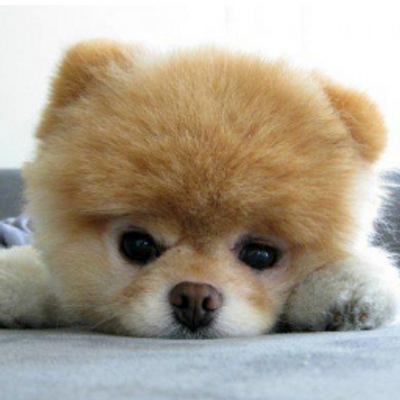 Josselyn Perez - Twitter Profile Picture of Josselyn Perez (@jossy1122) on Twitter