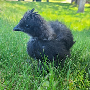 Profile Picture of Andrew Aman (@Bootstrap12345) on Youtube