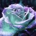 Profile Picture of Louise Brunyansky (@louise.brunyansky) on Facebook