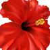 Profile Picture of Marcy Hall (@marcy.hall.77) on Facebook