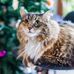 Profile Picture of Paula Yoder (@paula.yoder.7583) on Facebook