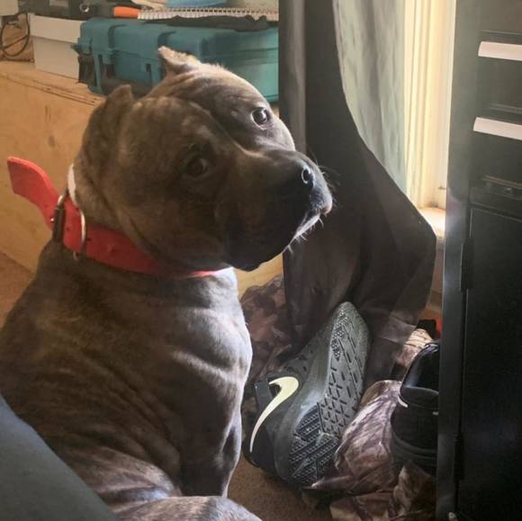 Nathan Carnes - Poshmark Profile Picture of Nathan Carnes (@nathancarnes) on Poshmark