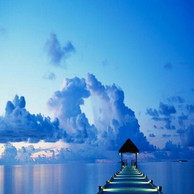 Profile Picture of Cynthia Plum (@CynthiaPlum) on Twitter