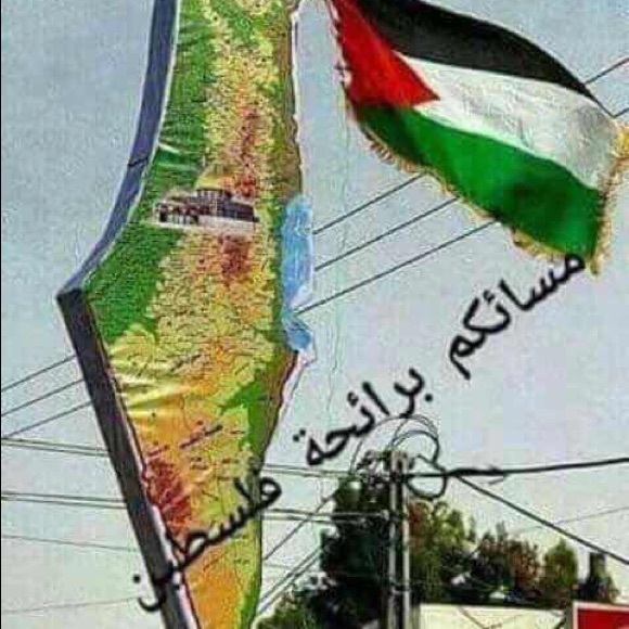 Profile Picture of Dalal Bawadi (@dd97410) on Poshmark