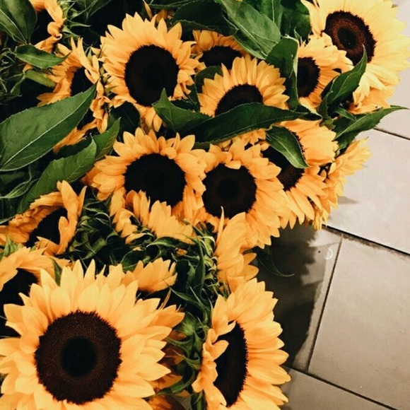 Profile Picture of Mattie Cobb (@poohboo02) on Poshmark