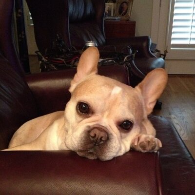 Profile Picture of Greg Fetzer (@greg_fetzer) on Twitter