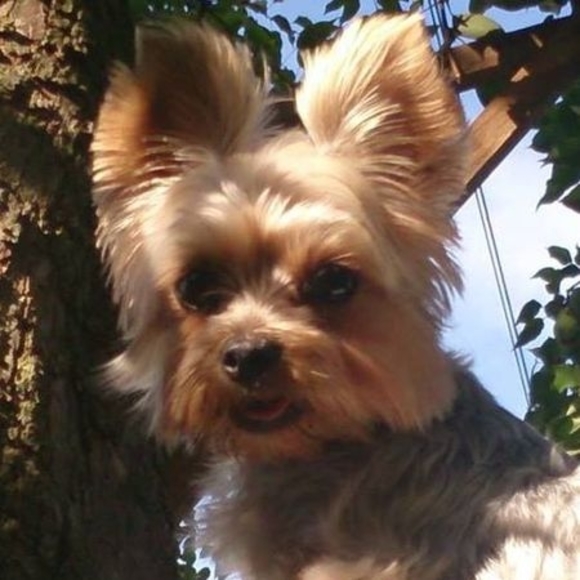 Profile Picture of Joanna Lewicka (@joannalewicka) on Poshmark