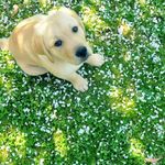 Profile Picture of Giselle Valdivia (@gisellevaldivia.1) on Instagram