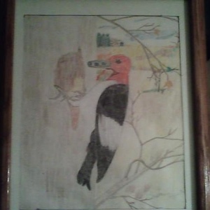 Profile Picture of Brian Beeson (@bbeeson_222) on Myspace