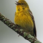 Profile Picture of Heath Barry (@heathbarry) on Instagram