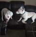 Profile Picture of Nancy Chinn (@nancy.chinn.54) on Facebook