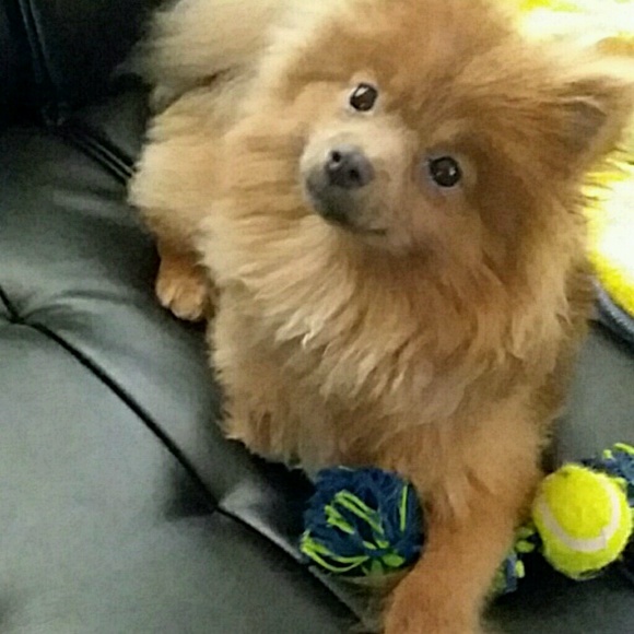 Profile Picture of Lucero Flores (@starflowerz) on Poshmark